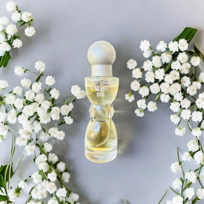 Perfume Spray, Powerful Fragrance Spray, Travel Friendly Luxury Unisex Perfume Scent Silver Ball